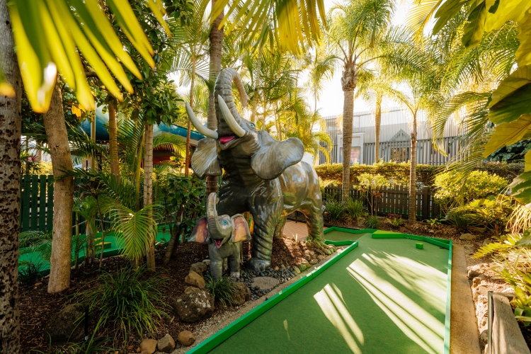 Putt Putt Mermaid Beach